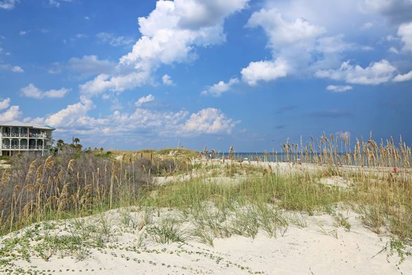 Dutch Island, coastal Savannah